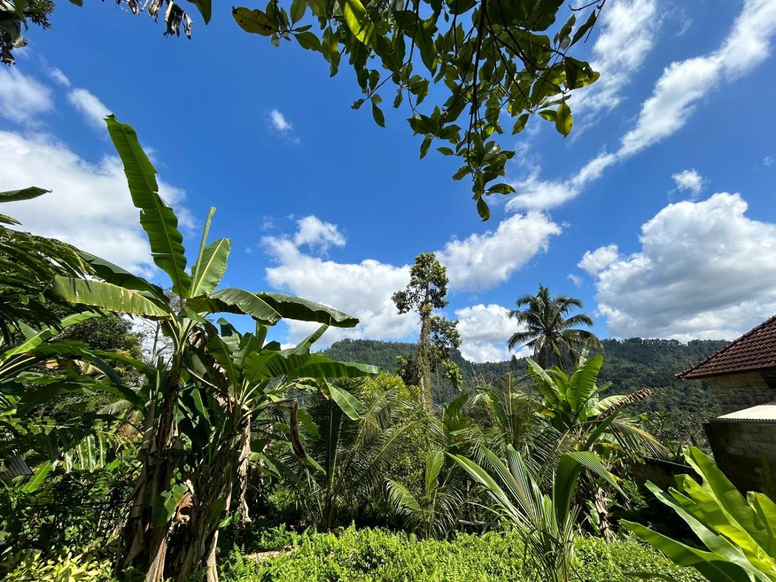 Buntera Homestay Sidemen Sidemen  Exterior foto