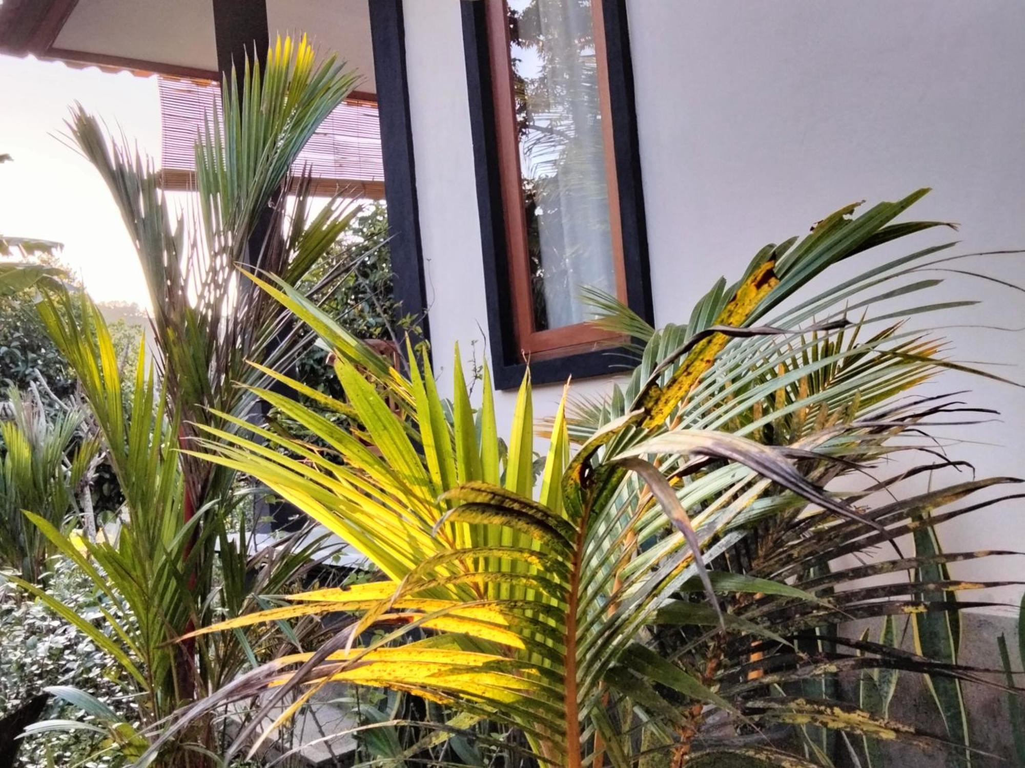 Buntera Homestay Sidemen Sidemen  Exterior foto