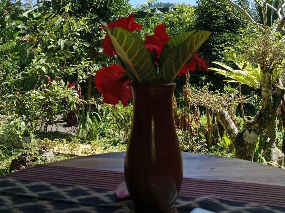 Buntera Homestay Sidemen Sidemen  Exterior foto
