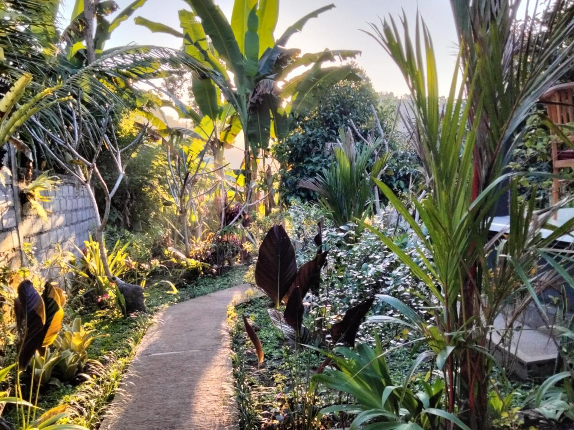 Buntera Homestay Sidemen Sidemen  Exterior foto