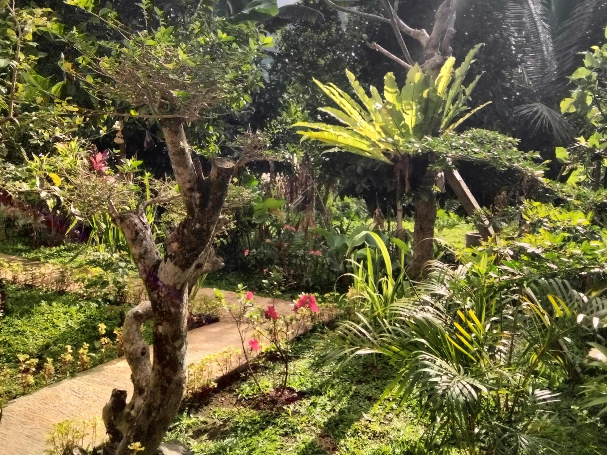 Buntera Homestay Sidemen Sidemen  Exterior foto