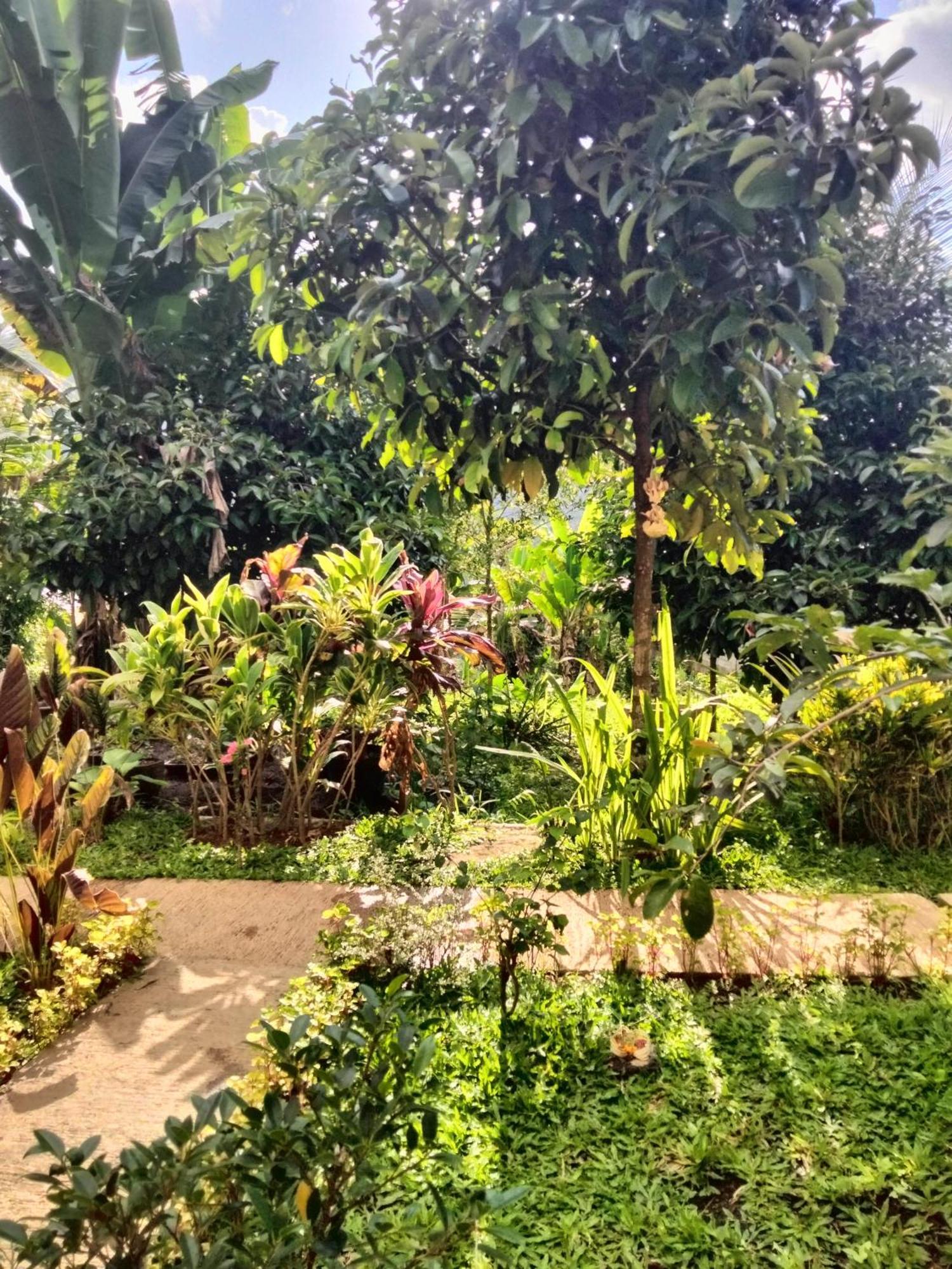 Buntera Homestay Sidemen Sidemen  Exterior foto