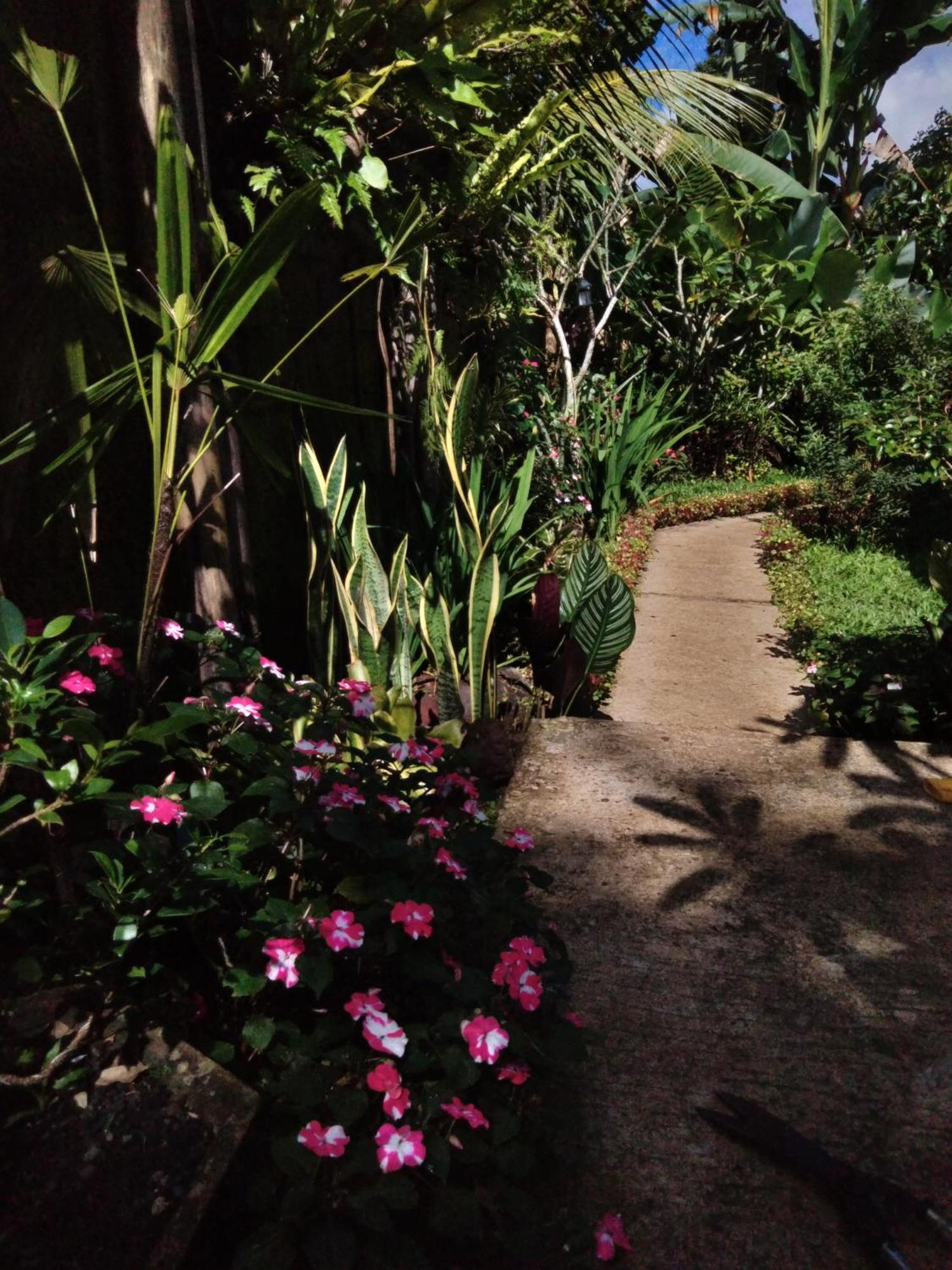 Buntera Homestay Sidemen Sidemen  Exterior foto