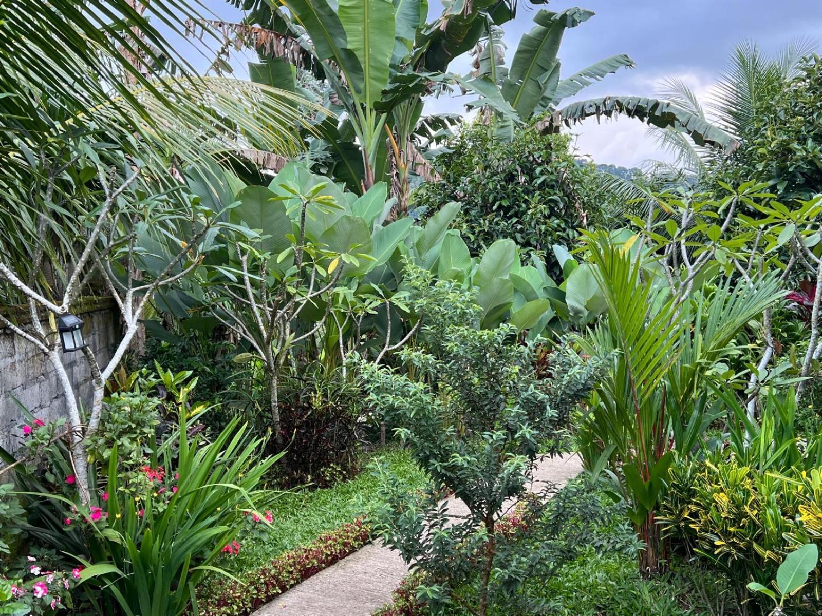 Buntera Homestay Sidemen Sidemen  Exterior foto